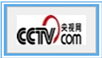 央视