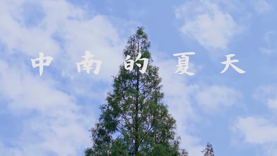中南的夏天