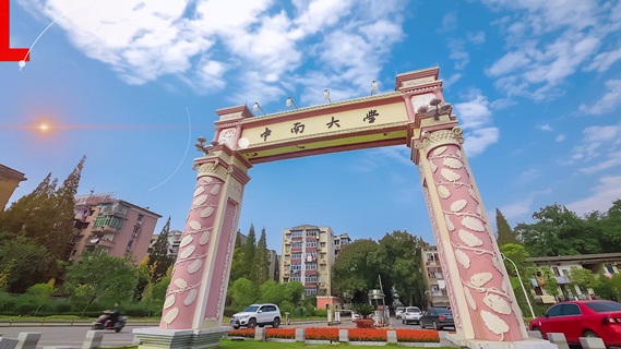 数读中南